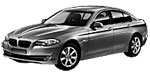 BMW F10 B20B1 Fault Code